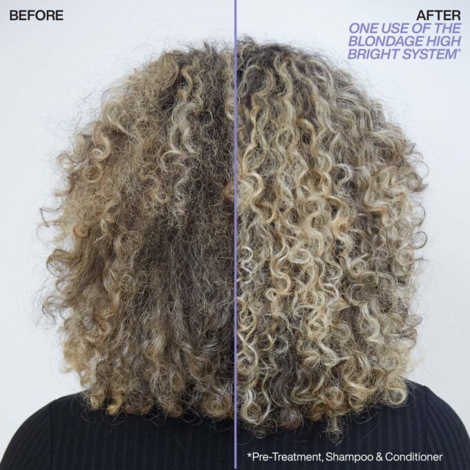 Redken Color Extend Blondage High Bright Pre-Shampoo Treatment 250ml Halo Hair & Skin - bestkoreanskincare.com.au